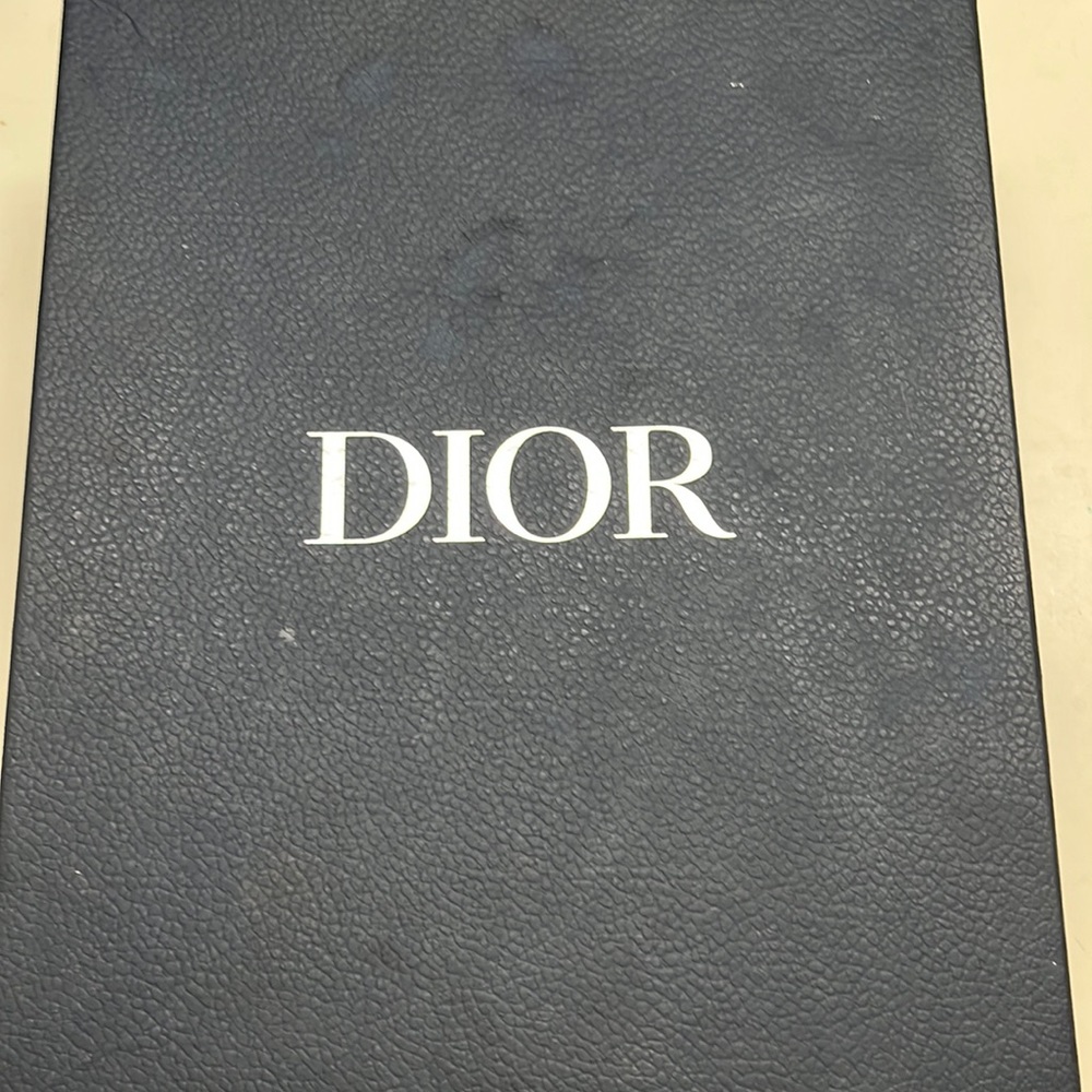 Dior Shawn stussy sneakers